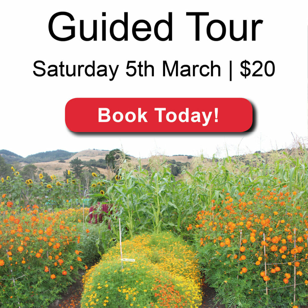 fb_guided_tour_march
